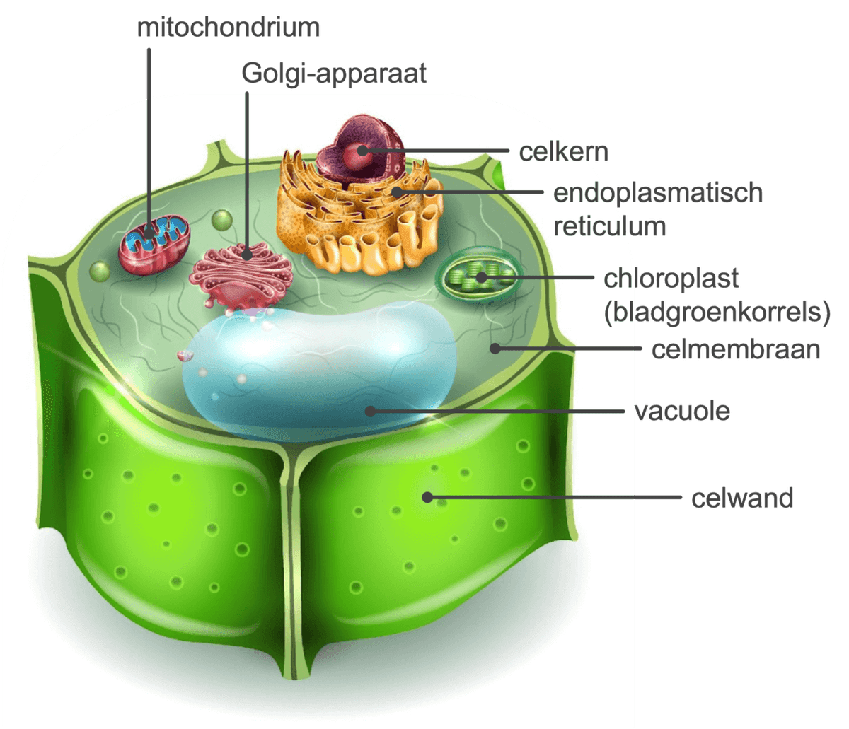 plantencel met onderdelen 