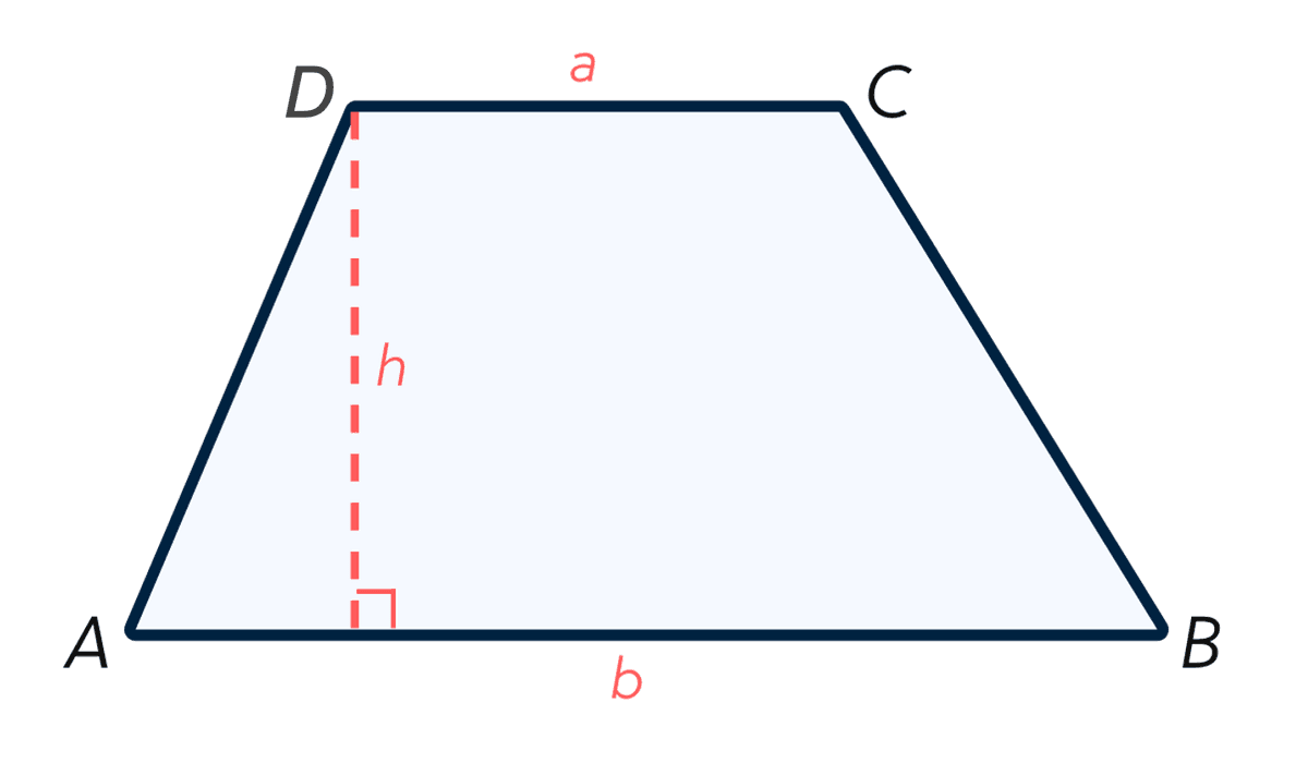 trapezium