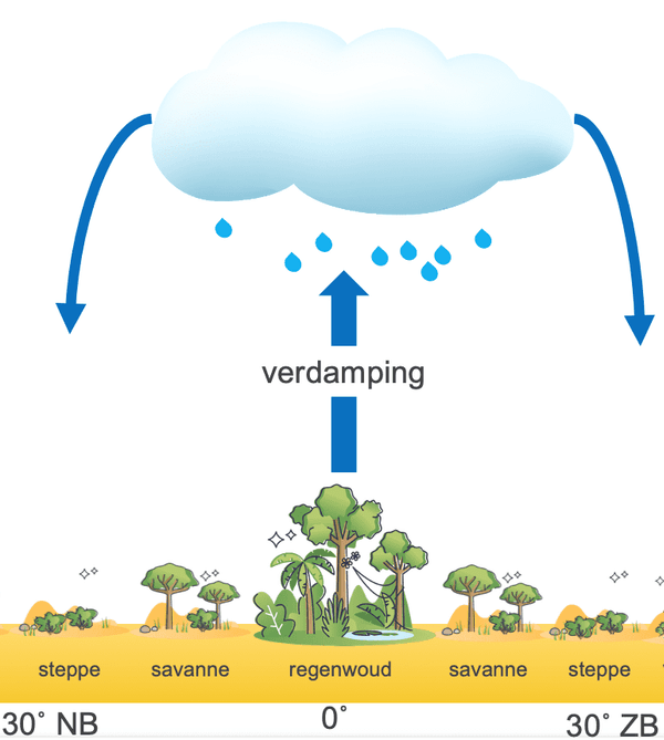 Hoe neerslag wordt gevormd door verdamping