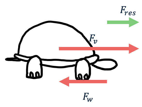 Afbeelding van een schildpad die versnelt, met een grote Fv-pijl, een kleinere Fw-pijl, en een Fres-pijl in de richting van Fv.