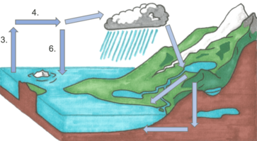 Schematische weergave van de korte waterkringloop