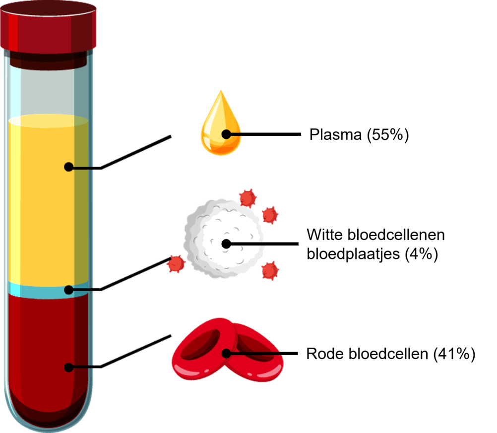 Diagram van de samenstelling van bloed.