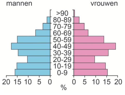 bevolkingsdiagram 3