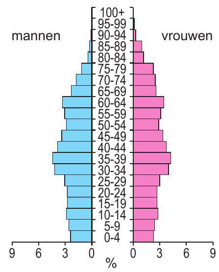bevolkingsdiagram 1 