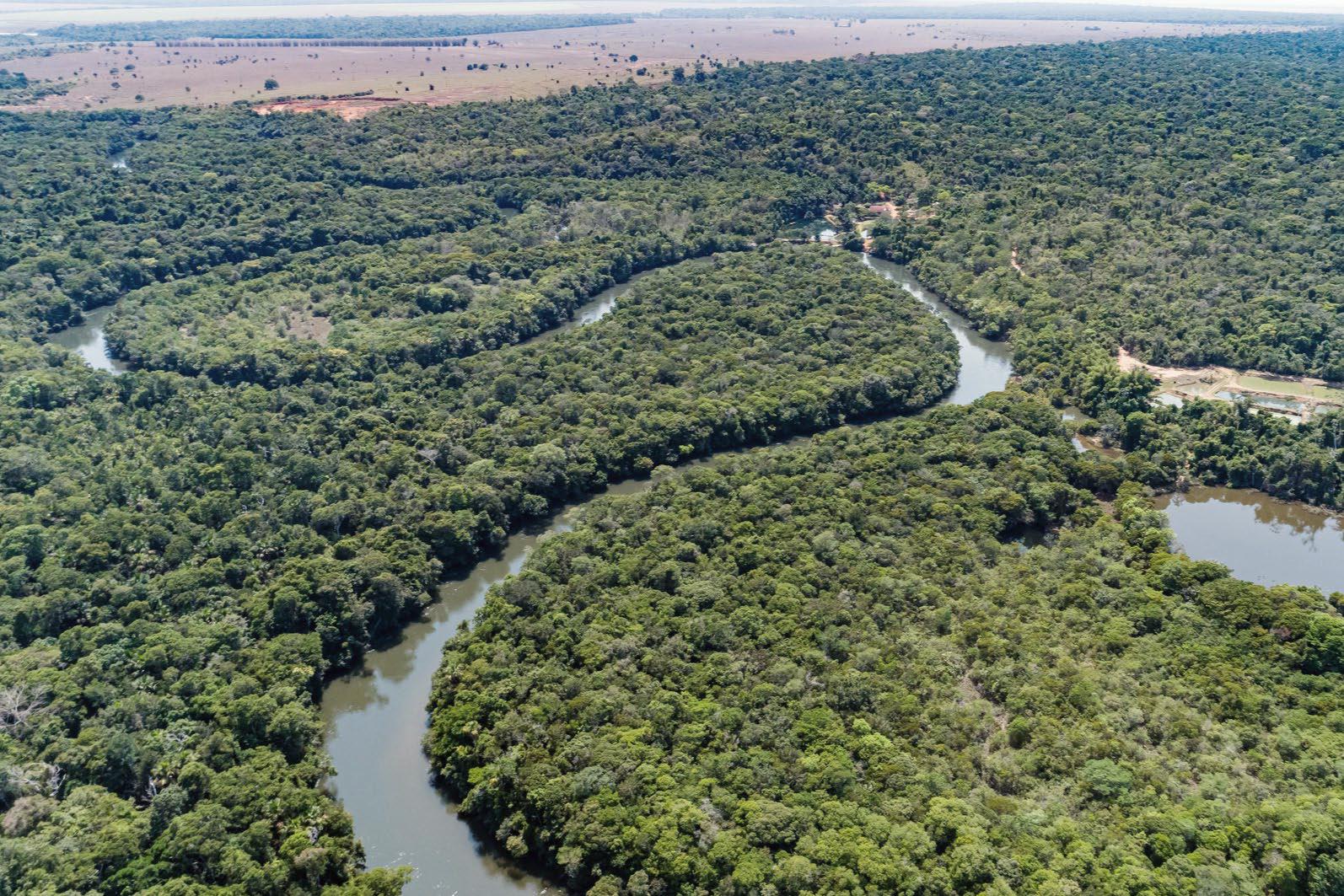 Meanders in de Amazone
