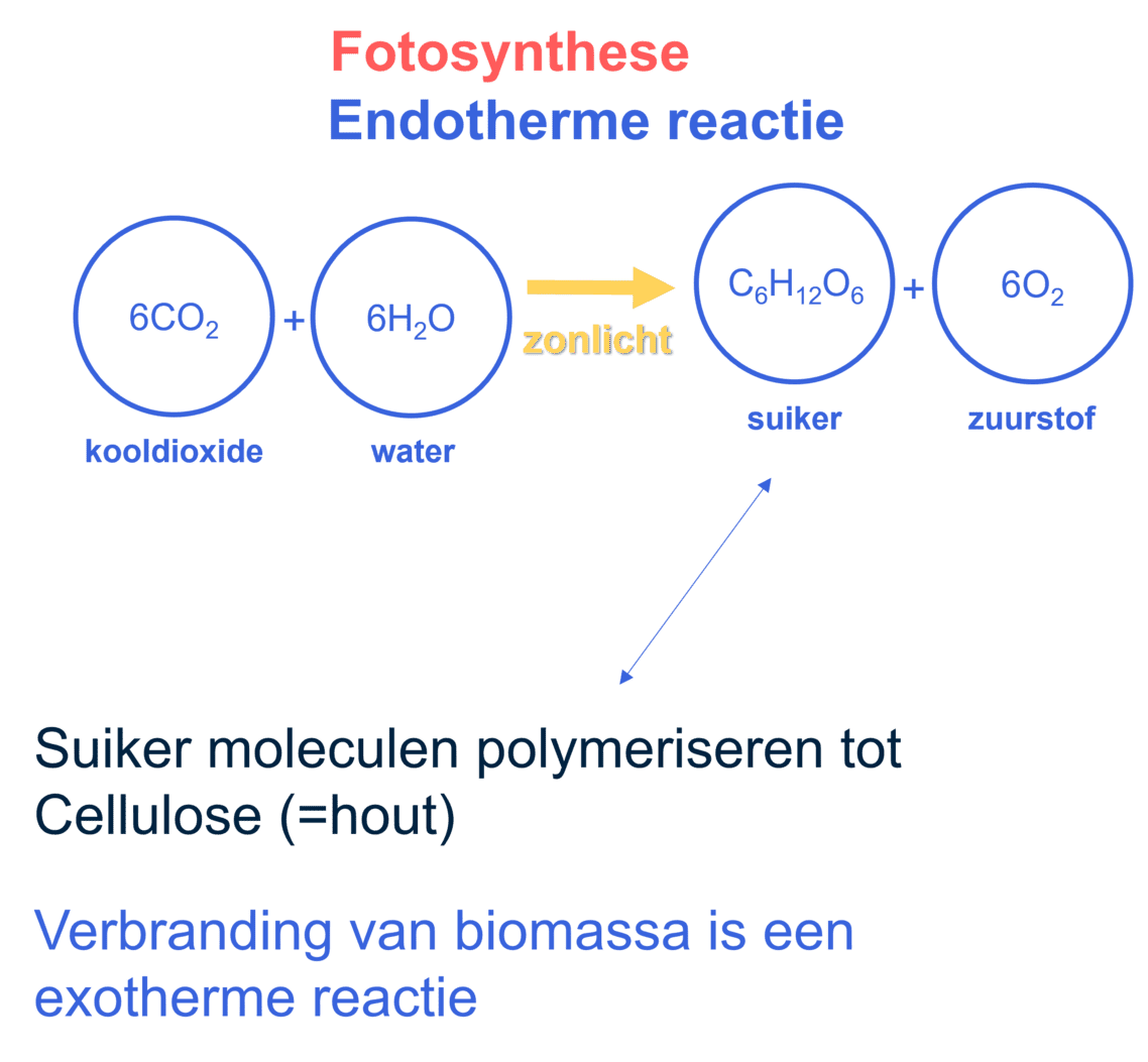 Afbeelding van het proces van de vorming van biobrandstoffen waarbij er geen netto toename van CO2 is.