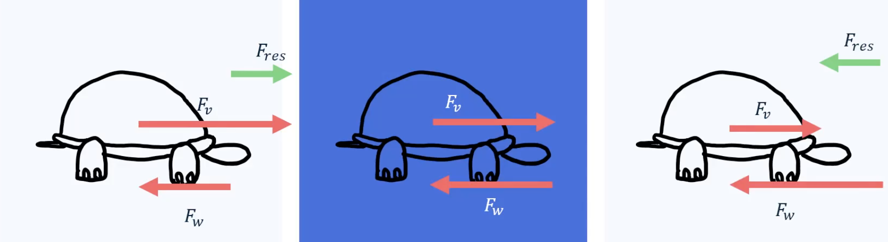 De resulterende kracht op een schildpad bij een versnelde beweging (links), constante beweging (midden) en vertraagde beweging (rechts).