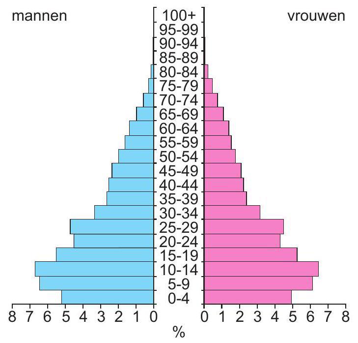 bevolkingsdiagram 1