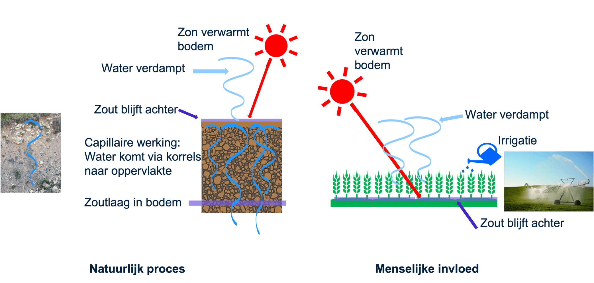 Het proces van verzilting door natuurlijke processen en menselijke invloeden