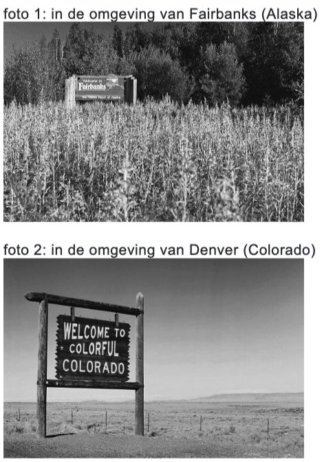 Twee foto’s van natuurlijke vegetatie in de zomer in de Verenigde Staten