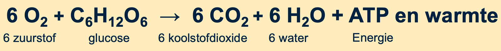 Figuur 2: schematische weergave van verbranding
