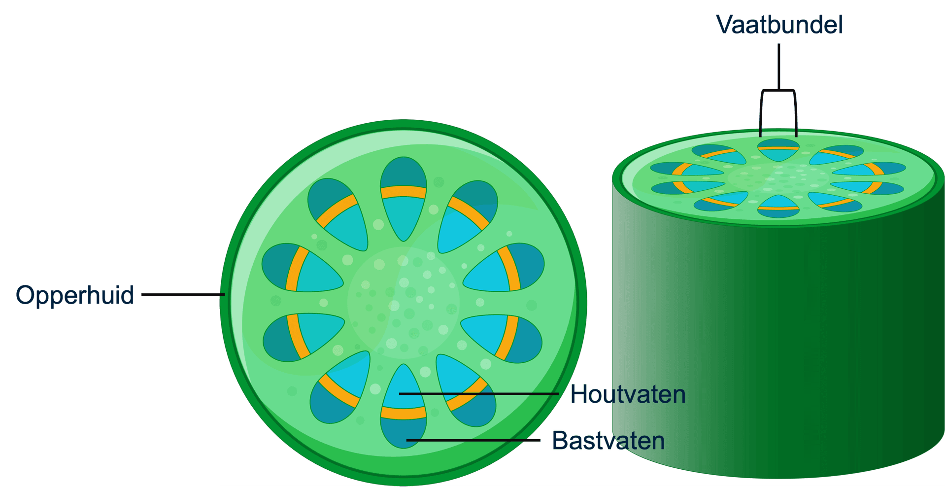 houtvat en bastvat