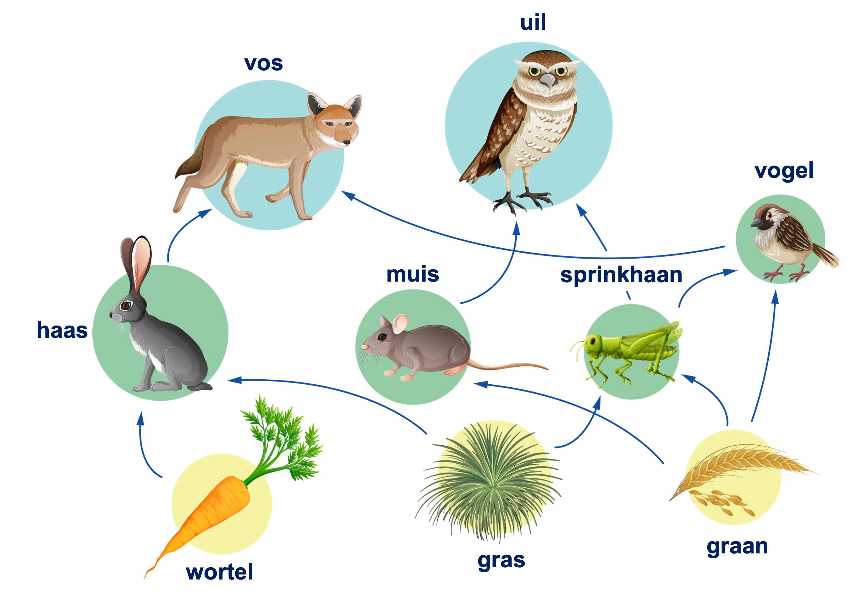 Levensgemeenschap voorbeeld