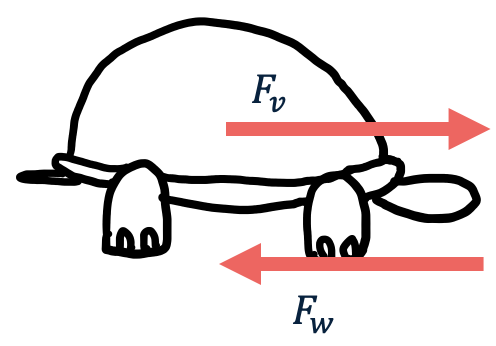 Afbeelding van een schildpad met constante snelheid, met Fv-pijl en Fw-pijl van gelijke grootte, en geen Fres-pijl of Fres=0.