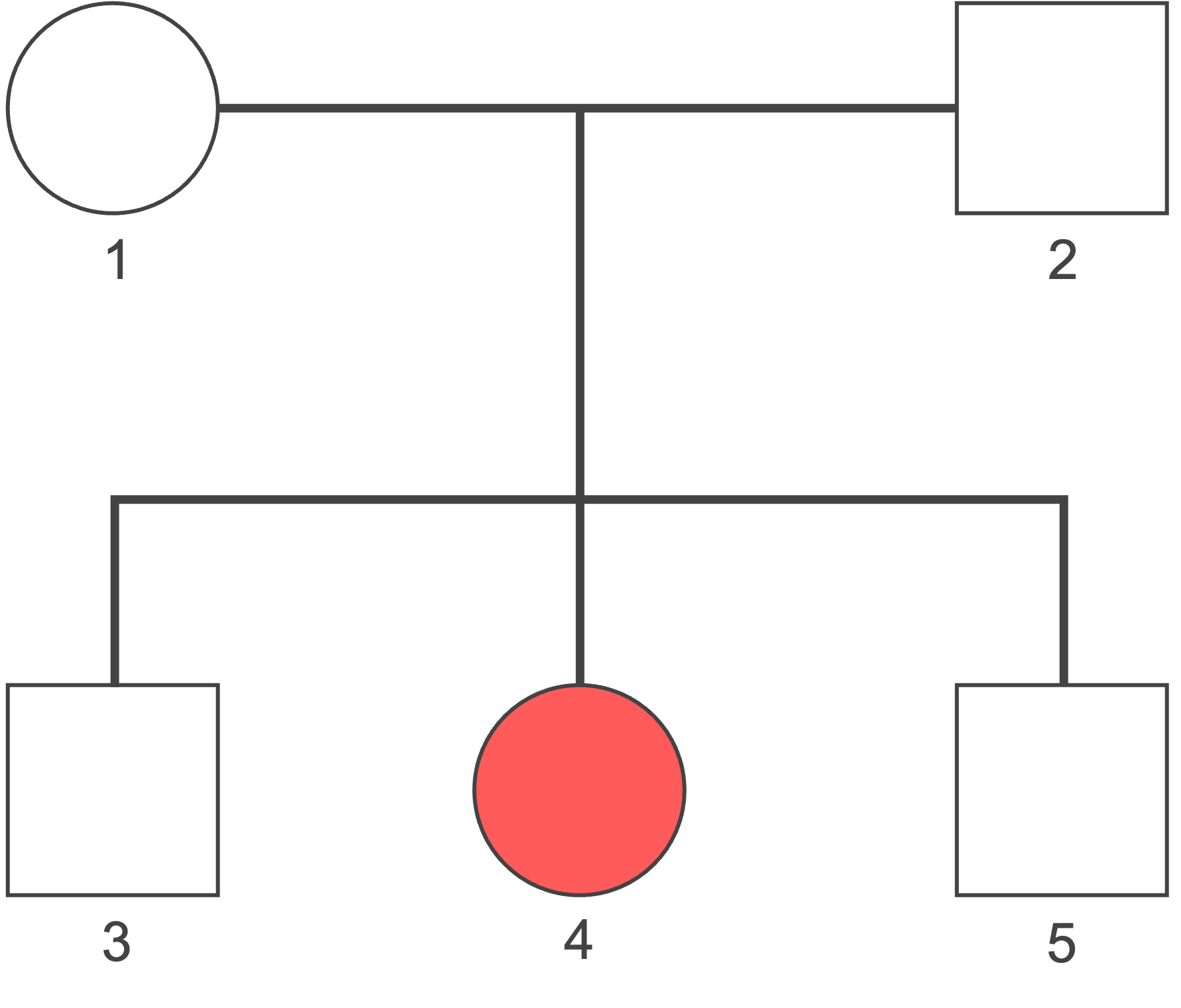 Ingekleurd = gekruld haar, niet ingekleurd = stijl haar
