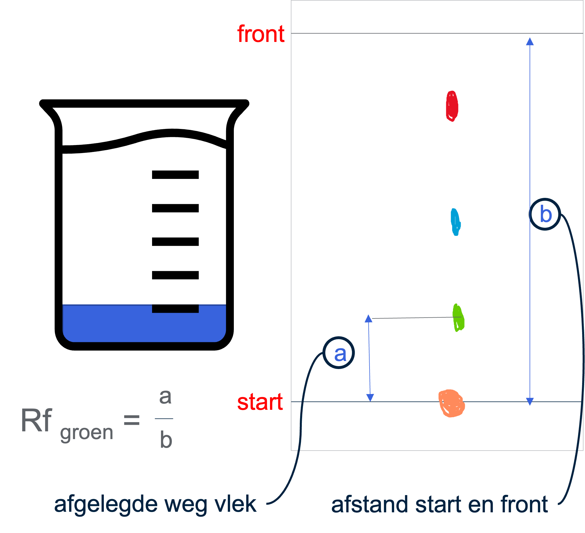 Papierchromatografie
