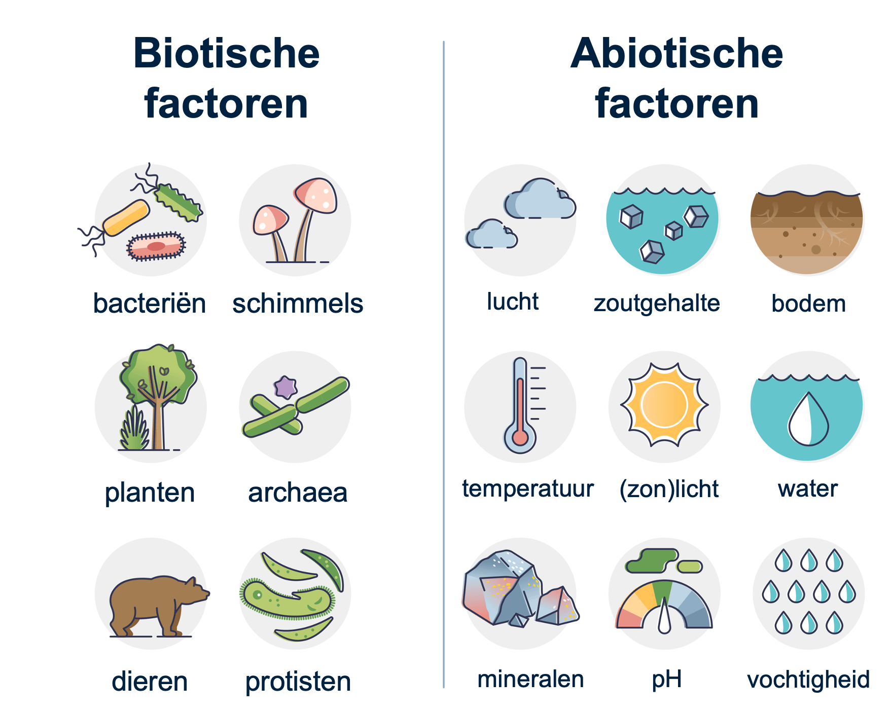 Overzicht van het verschil tussen biotische en abiotische factoren.