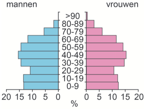 bevolkingsdiagram 2