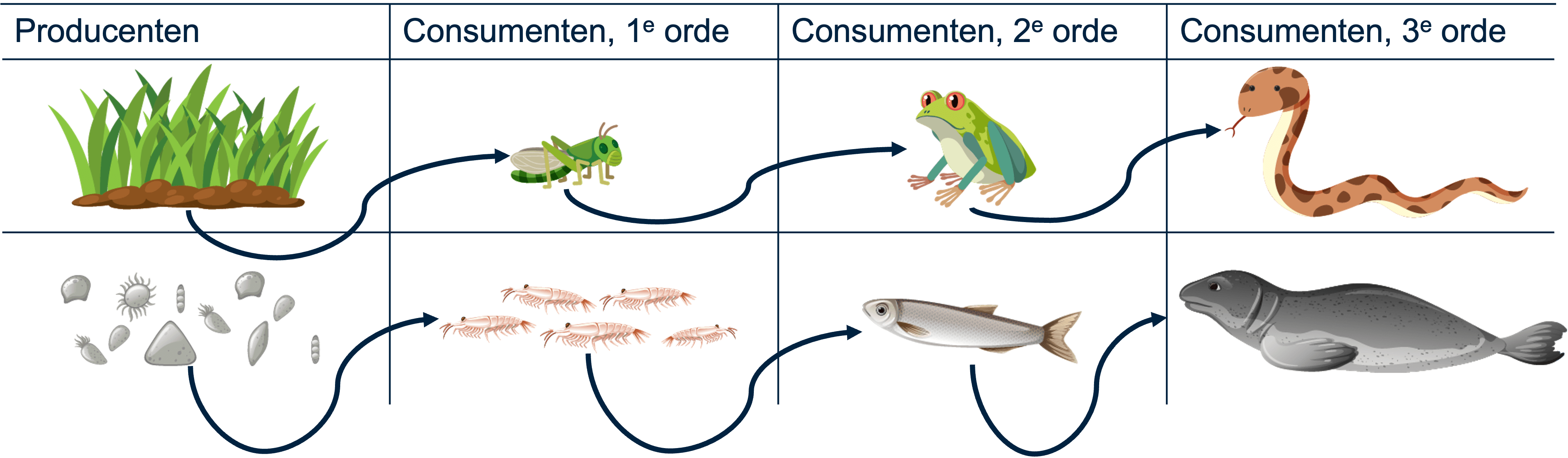 Producenten en consumenten
