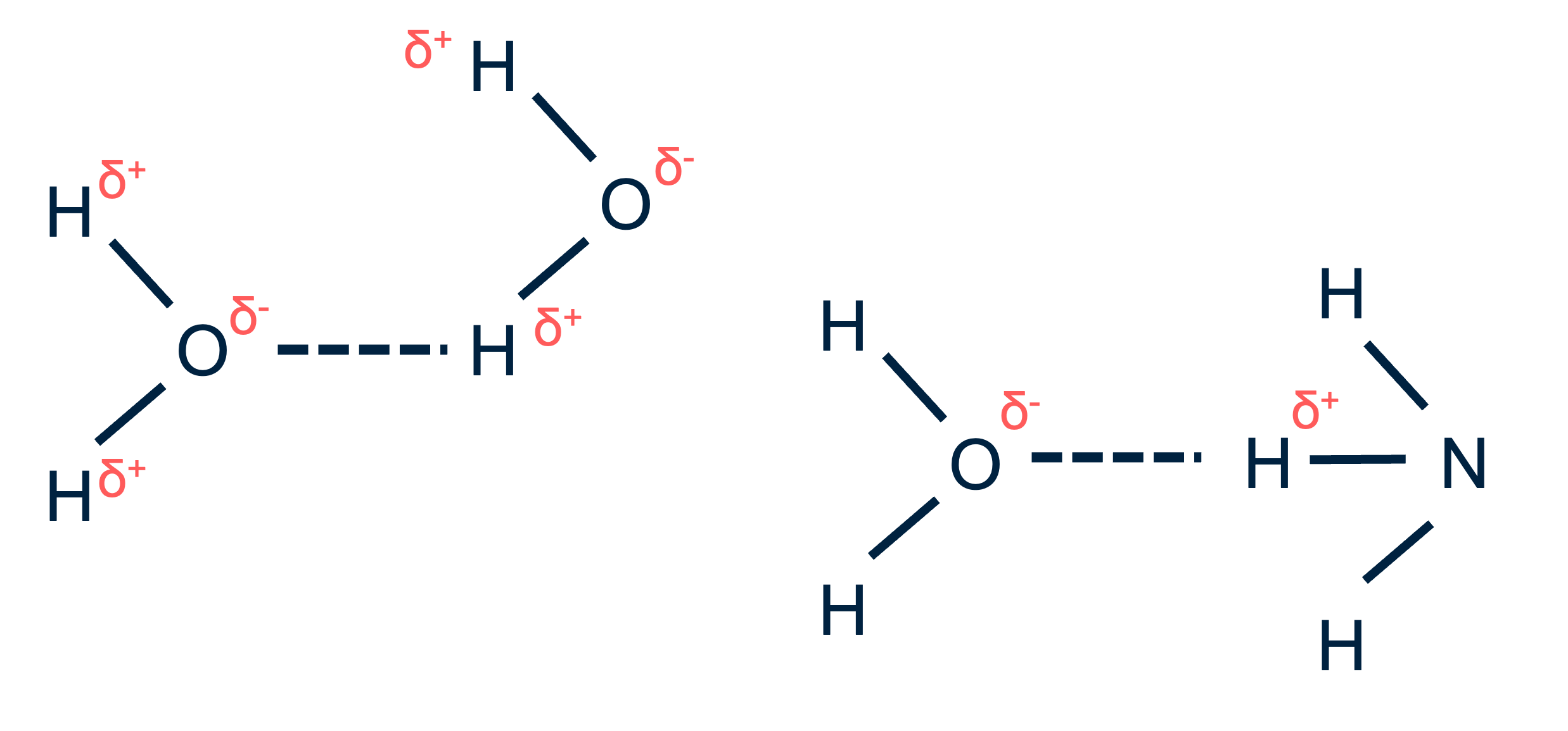 Door de ladingen binnen het watermolecuul kan het waterstofbruggen vormen met andere watermoleculen en polaire bindingen met andere polaire moleculen.