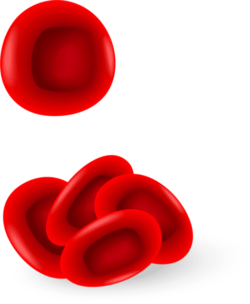 Schematische afbeelding van rode bloedcellen