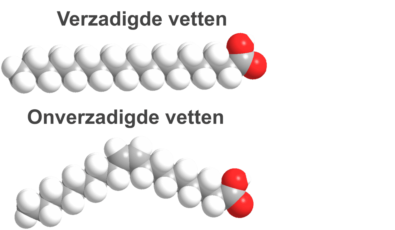 Afbeelding van verzadigde en onverzadigde vetten, waarin het verschil (de knik) tussen de twee te zien is.