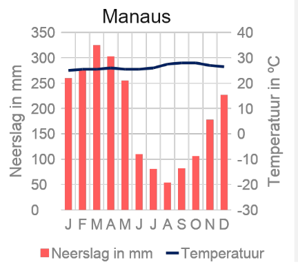 Klimaatgrafiek: tropisch regenwoudklimaat