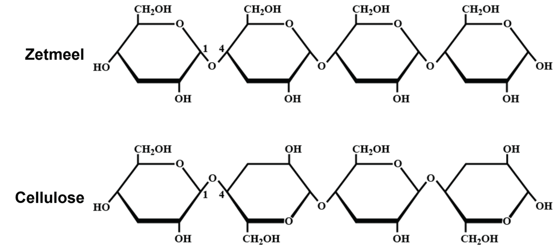 Afbeelding van voorbeelden van polysachariden.