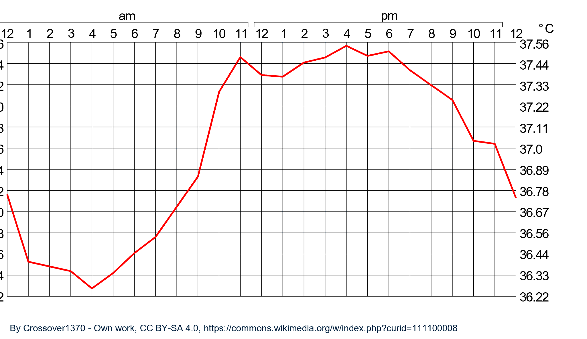 grafiek over dynamisch evenwicht van lichaamstemperatuur