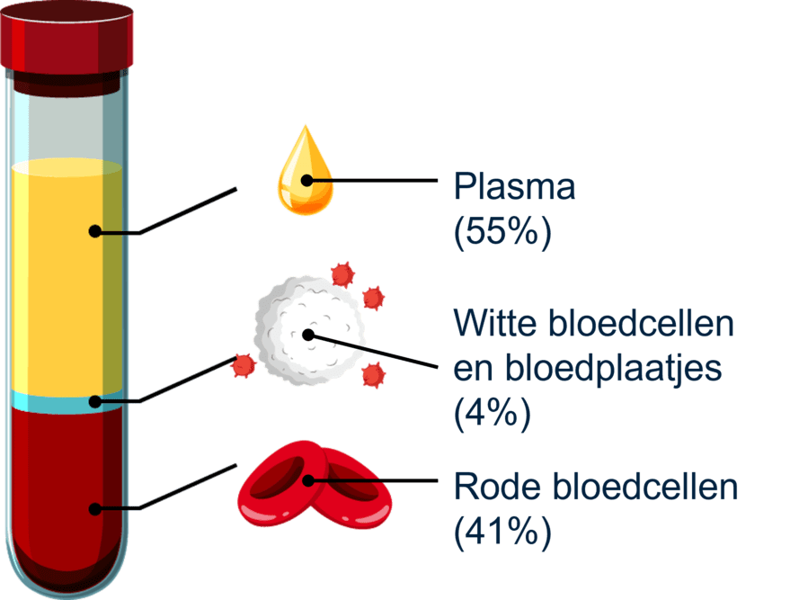 Illustratie van alle bestandsdelen van bloed.