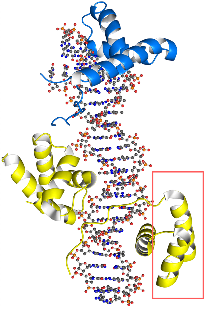 Illustratie van alpha helix.