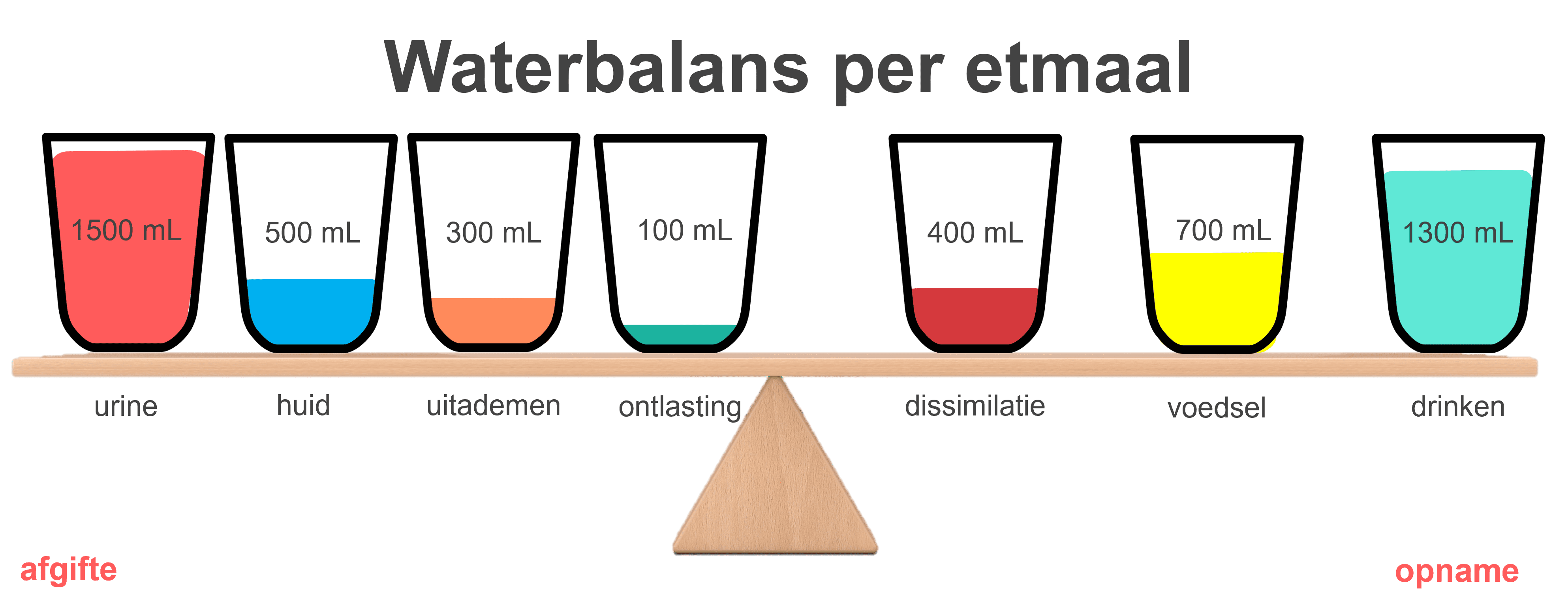 Afbeelding van de waterbalans per etmaal.
