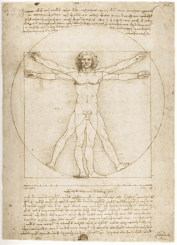 Anatomie in de Renaissance