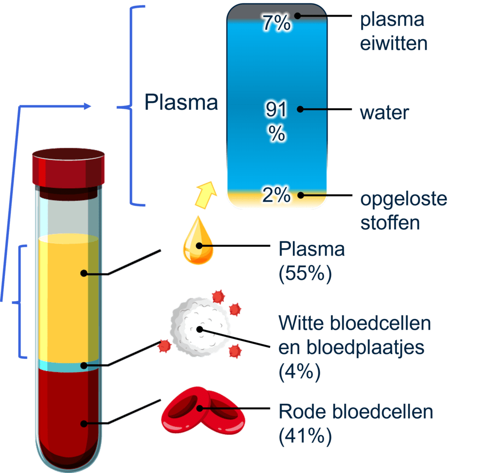 Illustratie van de bestandsdelen van bloedplasma.