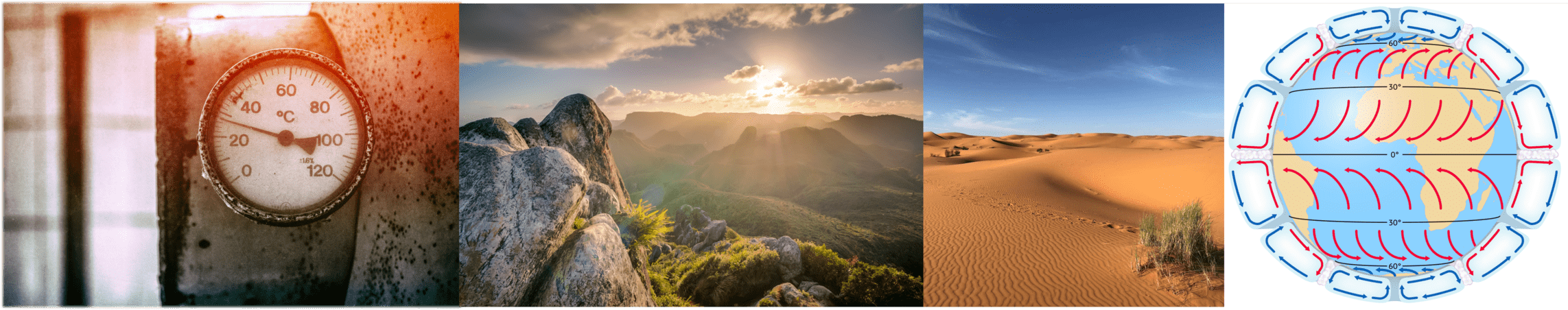 Tijd, licht, water en wind zijn voorbeelden van abiotische factoren
