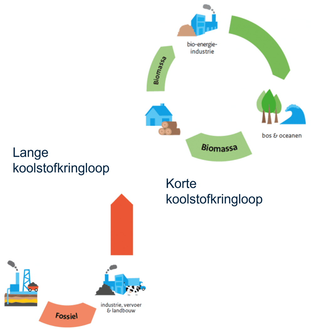 Afbeelding van de koolstofkringloop.