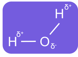Op deze afbeelding is te zien dat het zuurstofatoom harder trekt aan het gemeenschappelijke elektronenpaar en daardoor krijgt het een delta-min-lading, terwijl het waterstofatoom zwakker trekt, waardoor het een delta-plus-lading krijgt.