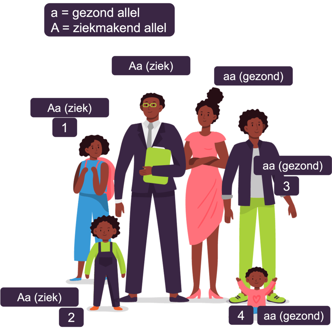 Dominante overerving