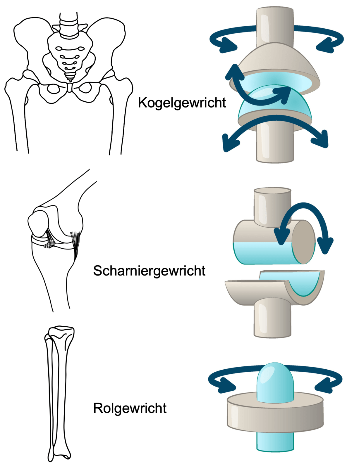 Rolgewricht, scharniergewricht en kogelgewricht
